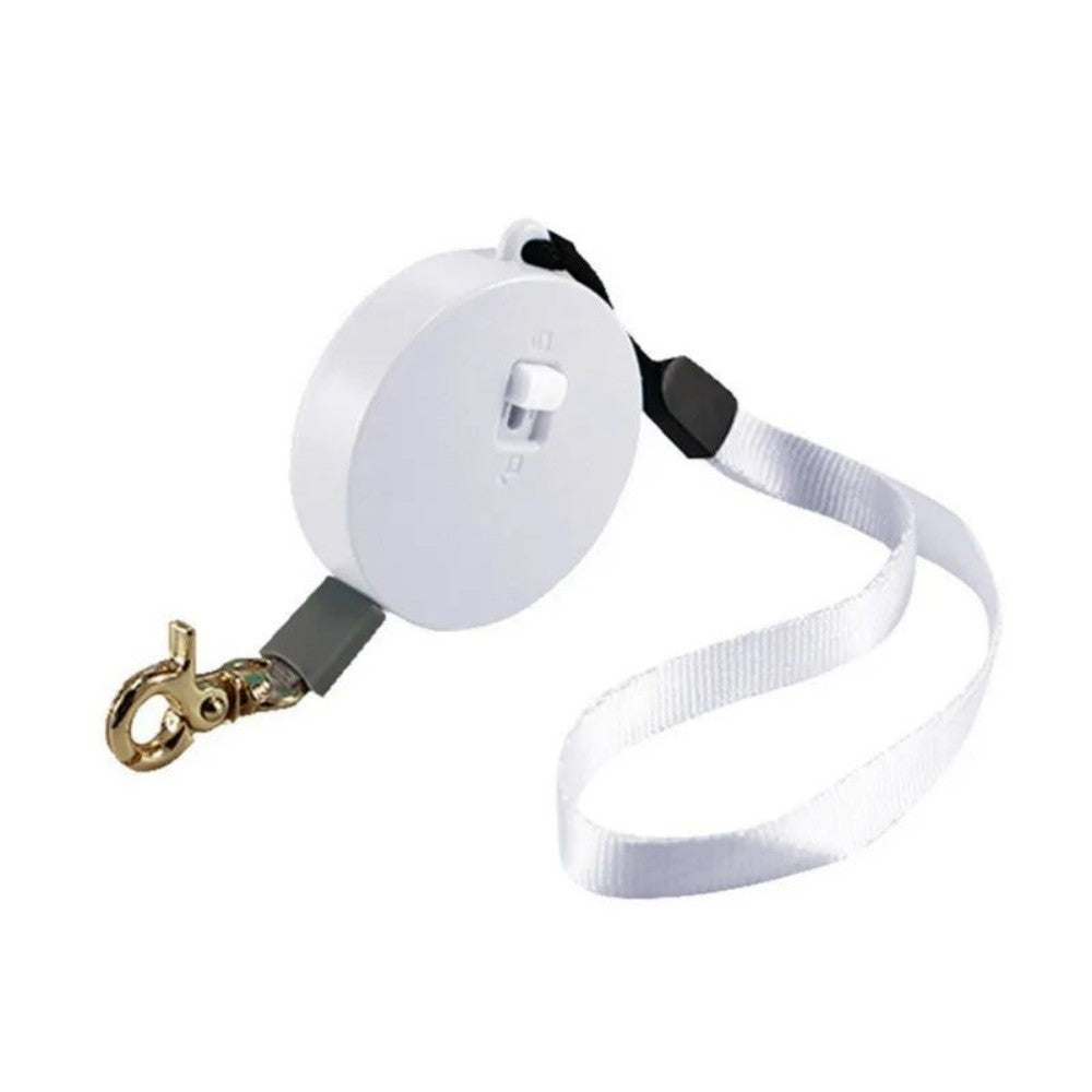 Outdoor Pet Automatic Retractable Mini Dog Leash Belt Puppy Walking Nylon Traction Walking Rope Flat Rope Pet Supplies