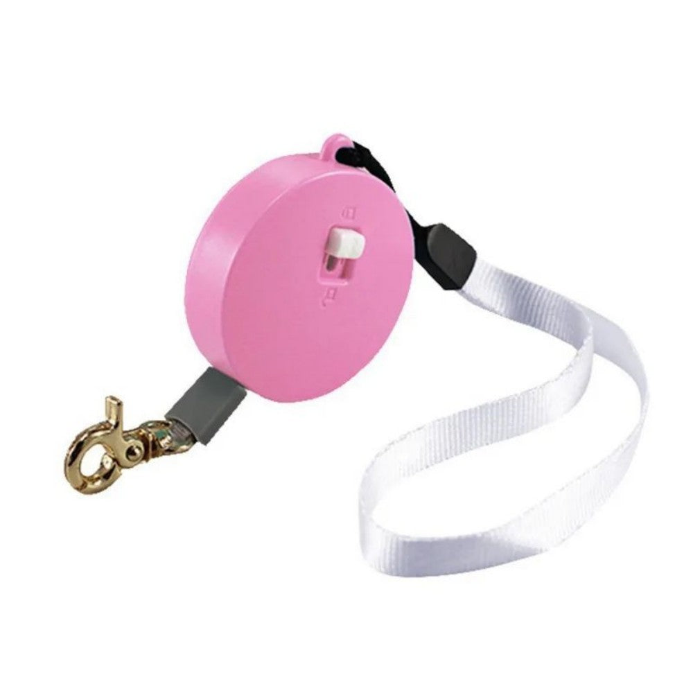 Outdoor Pet Automatic Retractable Mini Dog Leash Belt Puppy Walking Nylon Traction Walking Rope Flat Rope Pet Supplies