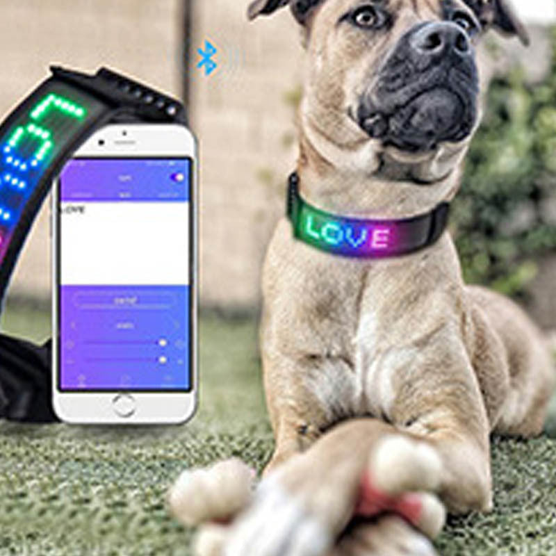 LED Bluetooth USB Charging Pet Collar