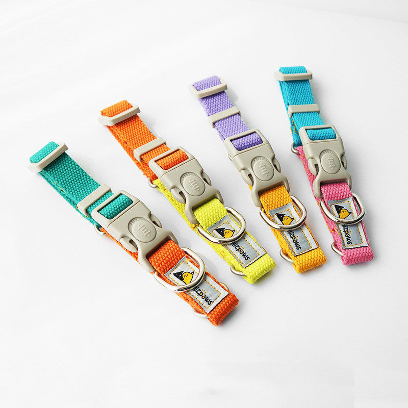 Original Design Pet Dog Hit Color Collar