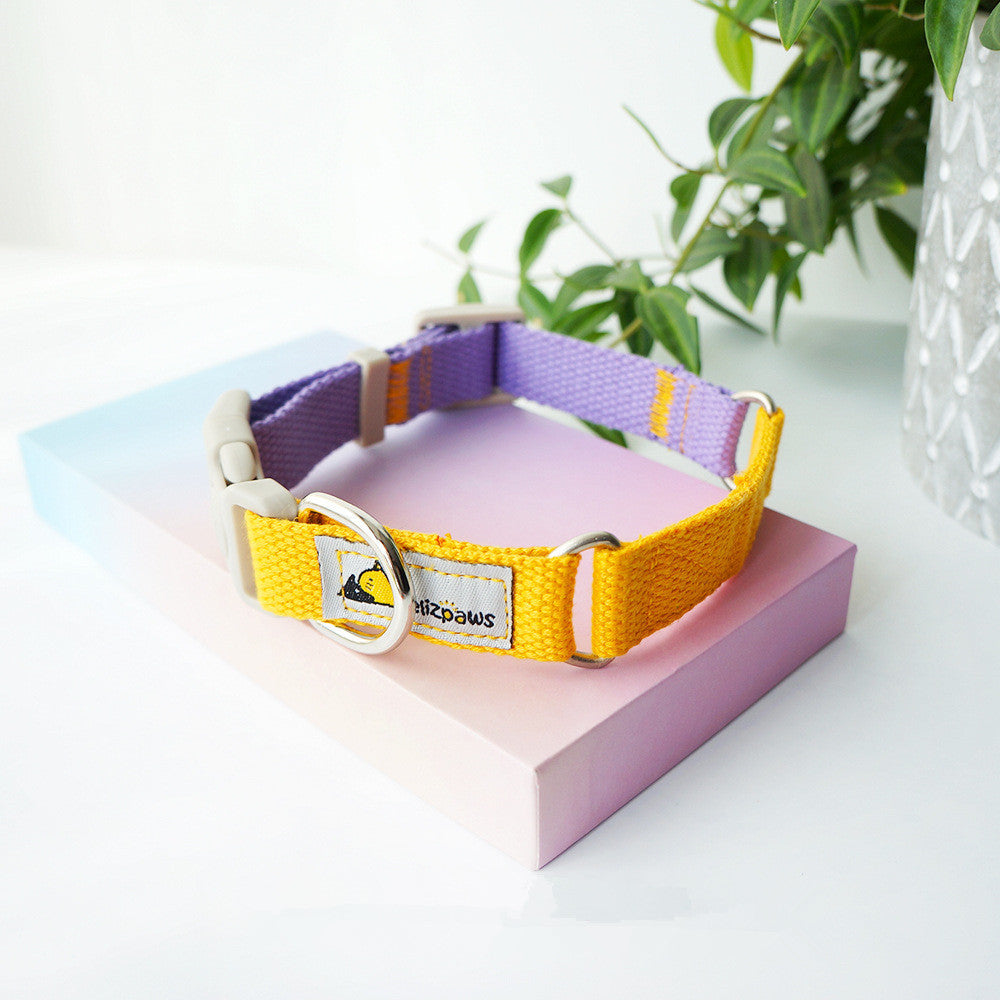 Original Design Pet Dog Hit Color Collar