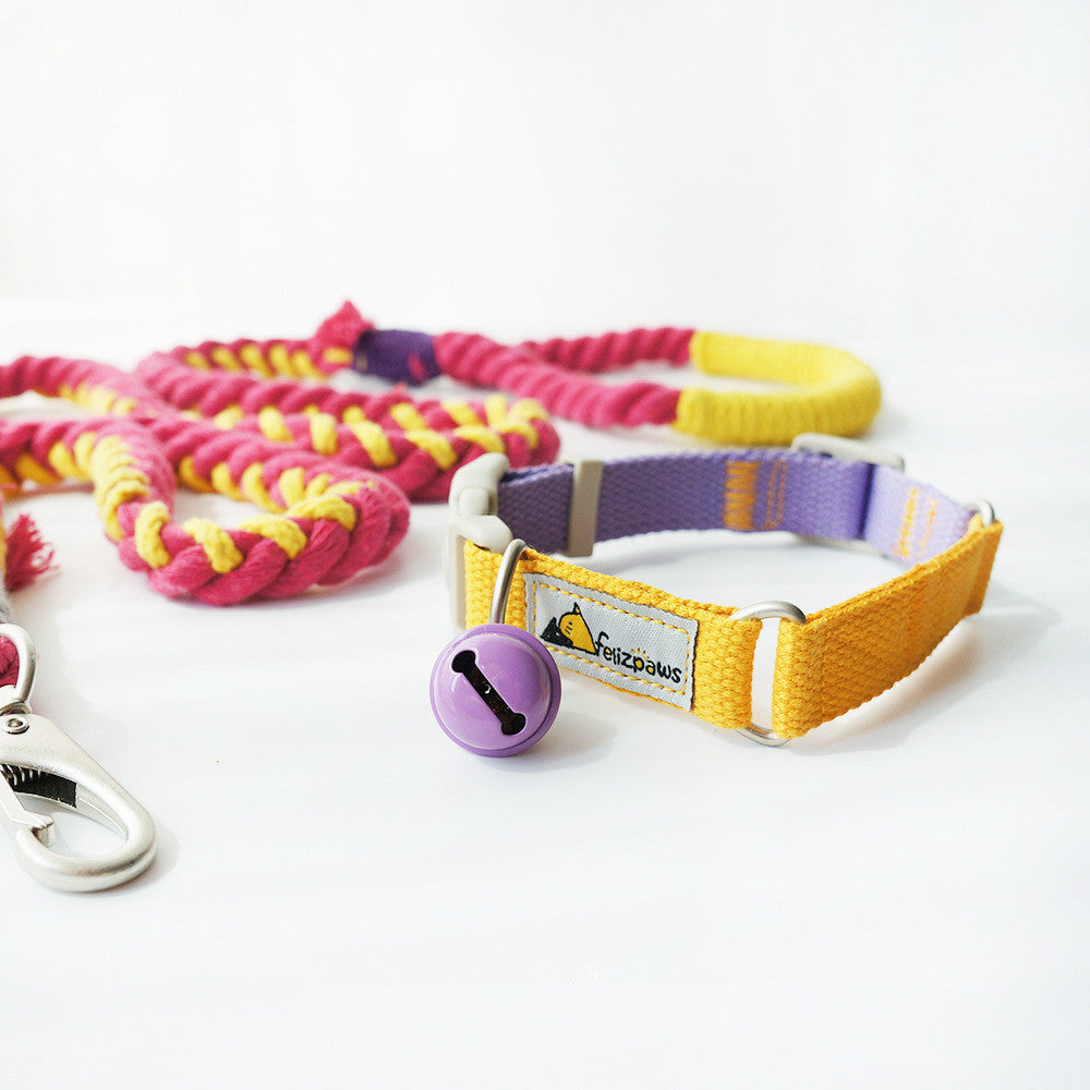 Original Design Pet Dog Hit Color Collar