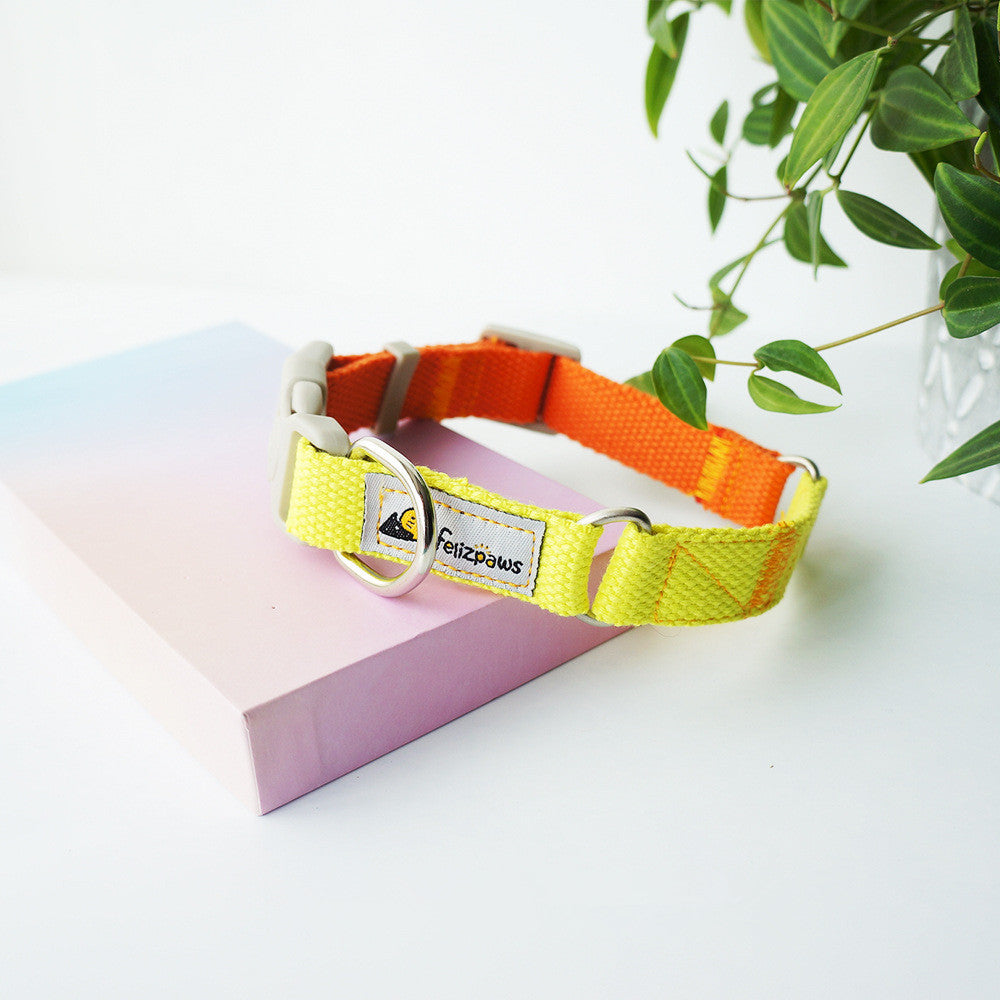 Original Design Pet Dog Hit Color Collar