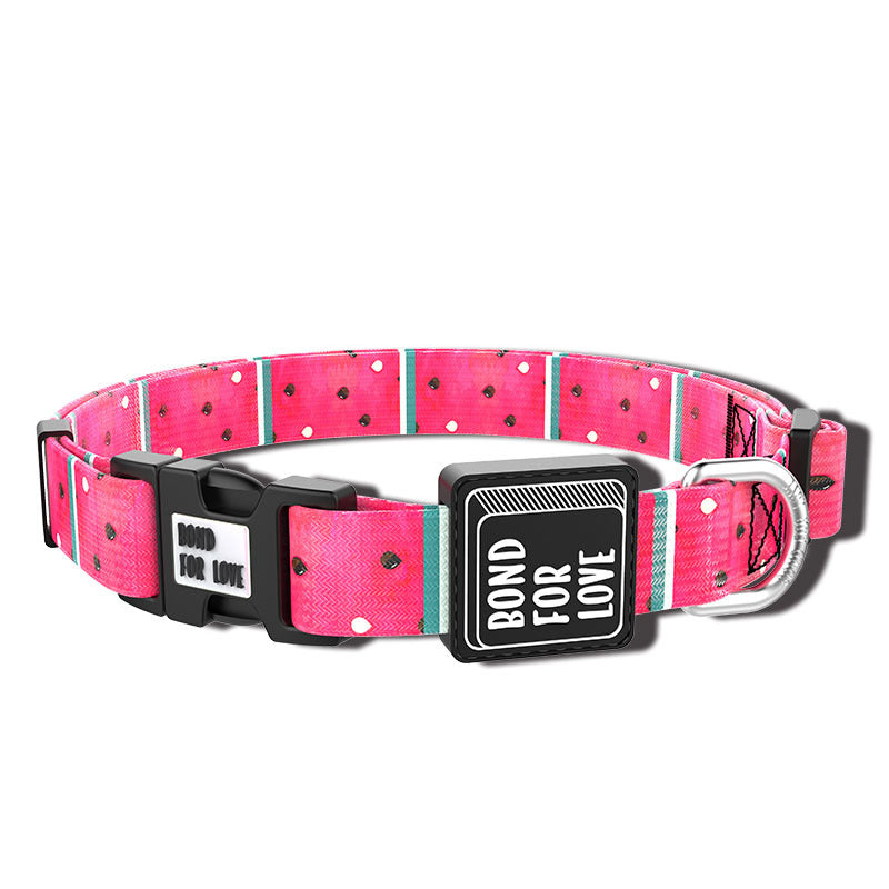 Fashion Simple Pet Dog Webbing Collar